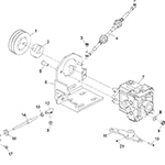 Pump Assembly